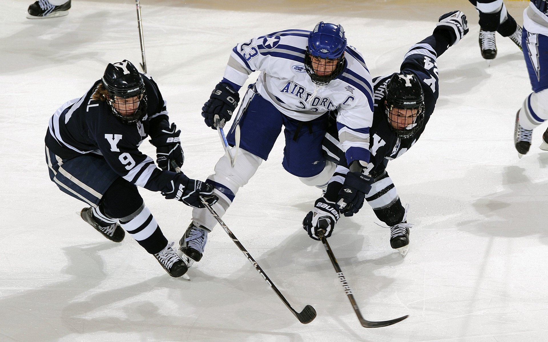 综合体育系“封闭集训模拟锦标赛” 用赛事形式结束封训周期